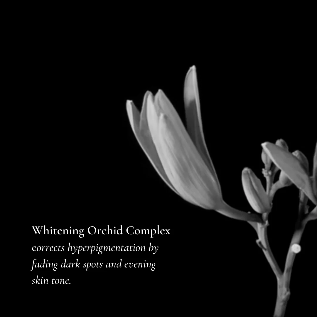 bain blanc - Image 3