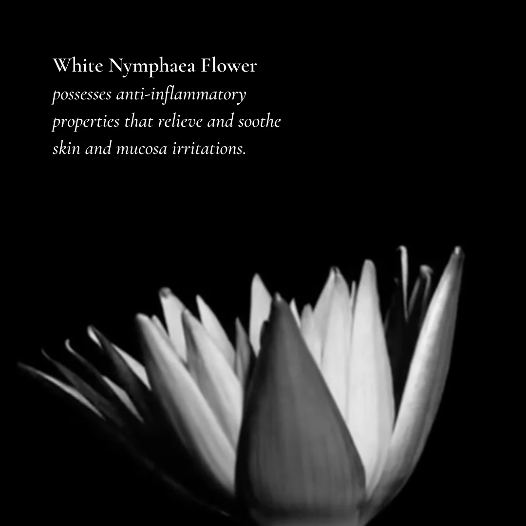 bain blanc - Image 5